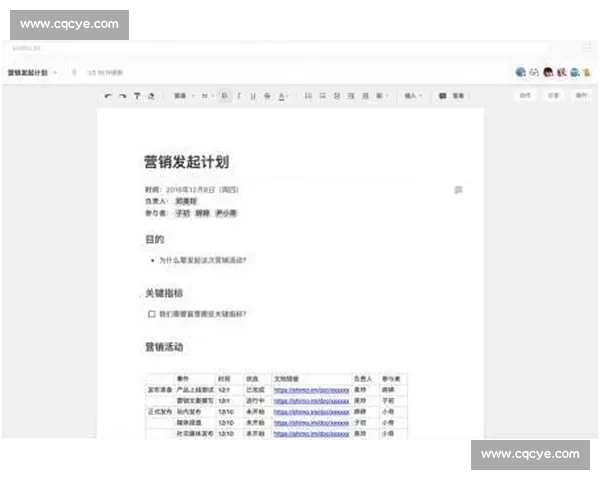 支援节奏优化策略与团队协作效率提升方法研究